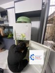 Sửa chữa tủ lạnh